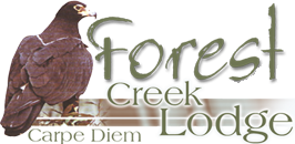 Forest Creek Lodge